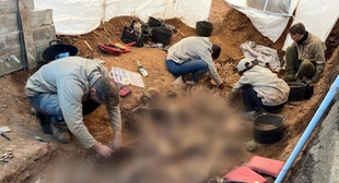 Comienza la segunda fase de los trabajos de exhumación de la fosa común en el cementerio de Segura de León